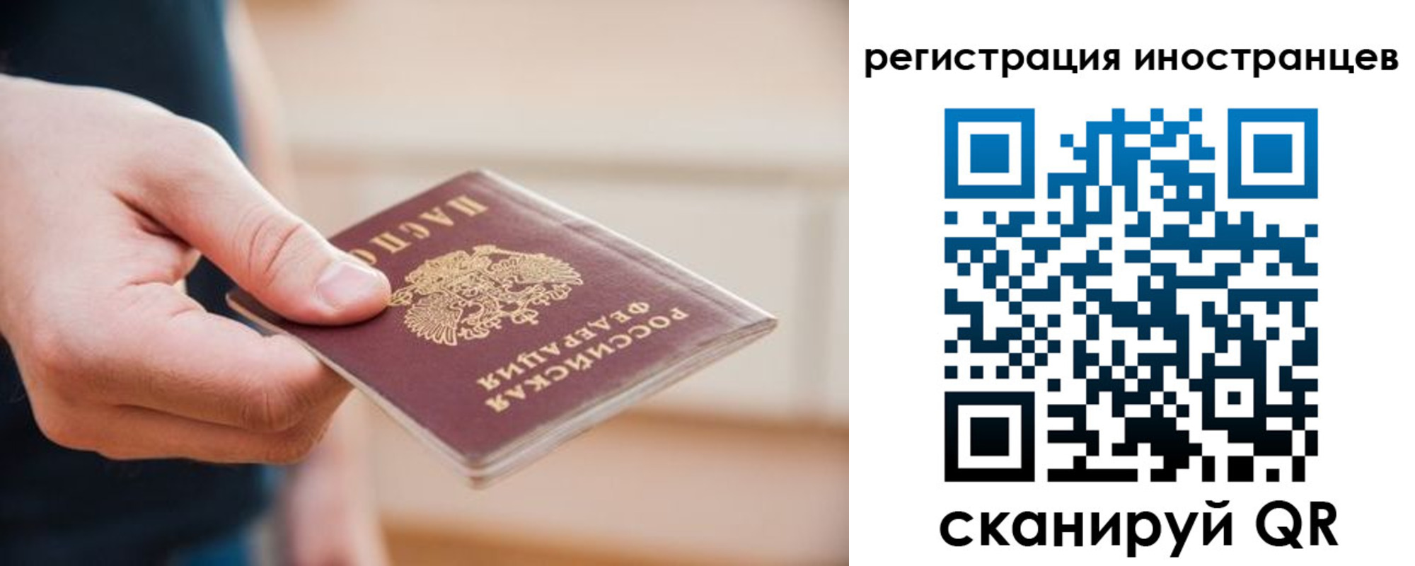 прописка гарантия в Долгопрудном